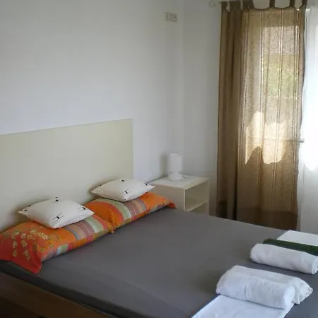 Dalmata Brodarica (Sibenik-Knin)