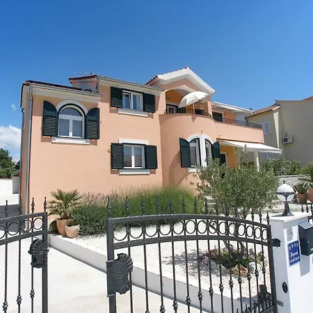 Dalmata Brodarica (Sibenik-Knin)