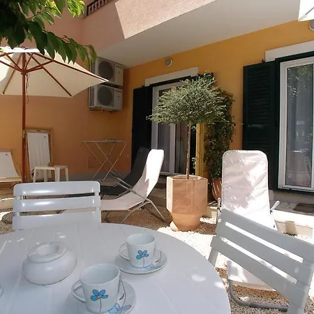 Dalmata Brodarica (Sibenik-Knin)