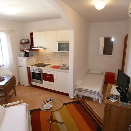 Dalmata Brodarica (Sibenik-Knin)