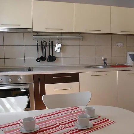 Dalmata * Бродарица