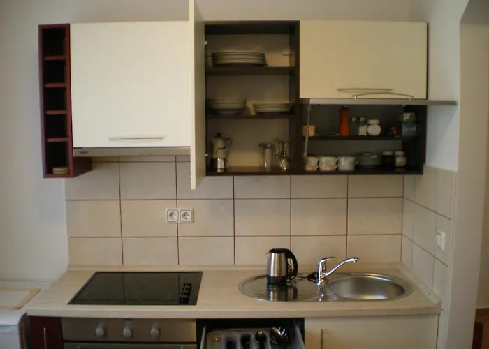 Dalmata 公寓 布罗达里卡