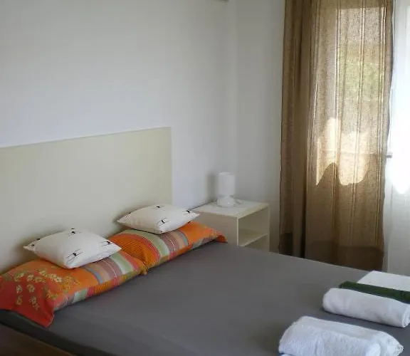 Dalmata Brodarica (Sibenik-Knin)