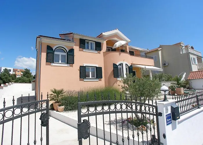 Dalmata Brodarica (Sibenik-Knin)