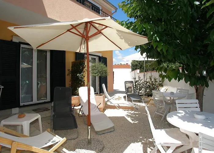 Dalmata * 布罗达里卡