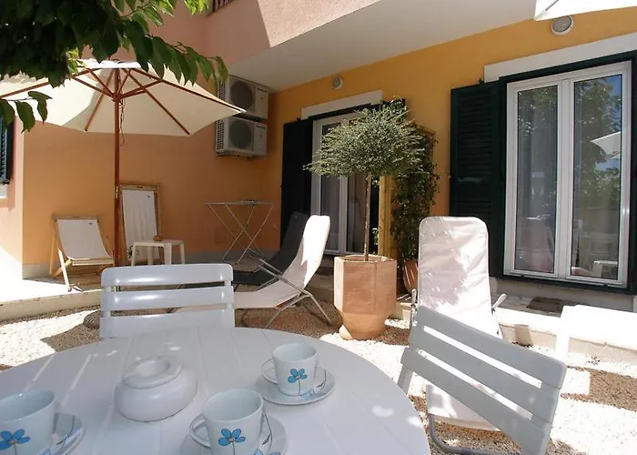 Dalmata Brodarica (Sibenik-Knin)