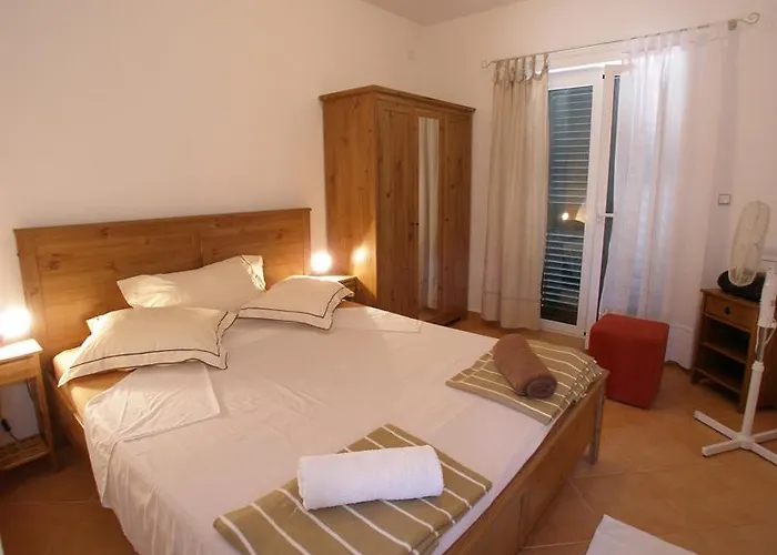 Dalmata * 布罗达里卡