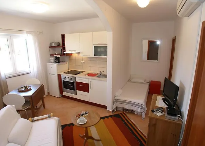 Dalmata 布罗达里卡