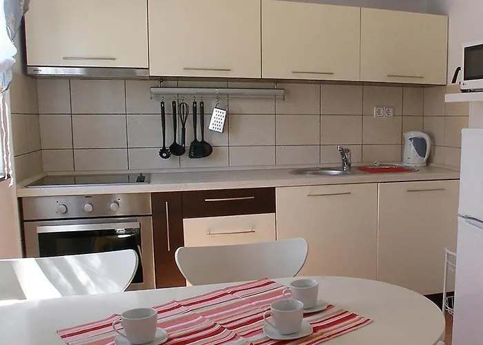 Dalmata * 布罗达里卡